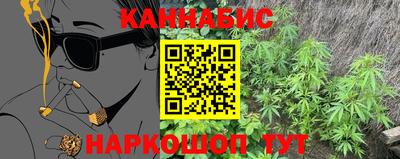 a pvp Кингисепп