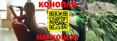 a pvp Кингисепп