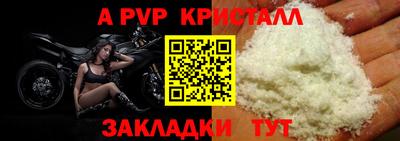 a pvp Кингисепп
