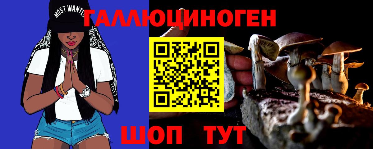 Псилоцибиновые грибы прущие грибы Красноуфимск