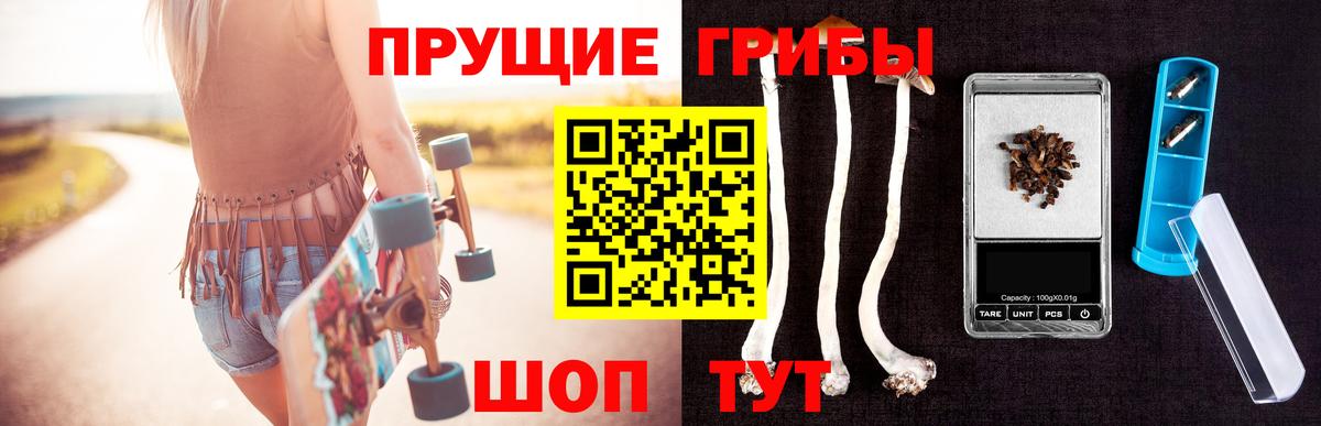 Галлюциногенные грибы Psilocybe  Вход с VPN  Красноуфимск 