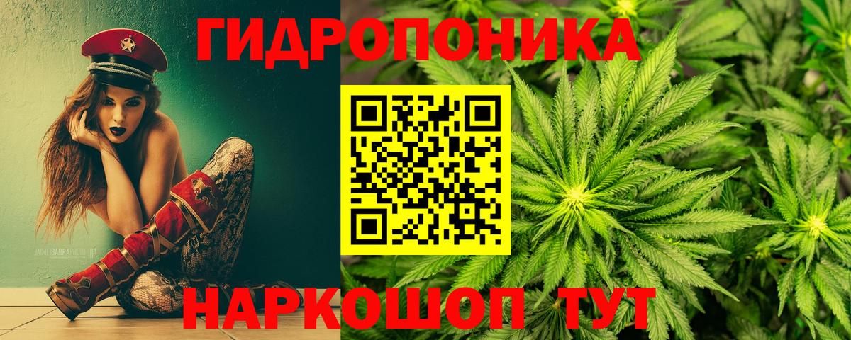 Марихуана Ganja  Каннабис планчик  Вход с VPN  Каннабис индика  Красноуфимск 